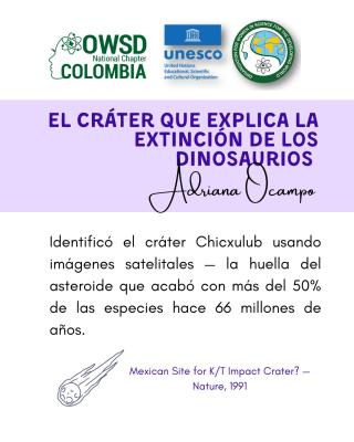 Descripcion de los aportes de Nubia Adriana Ocampo