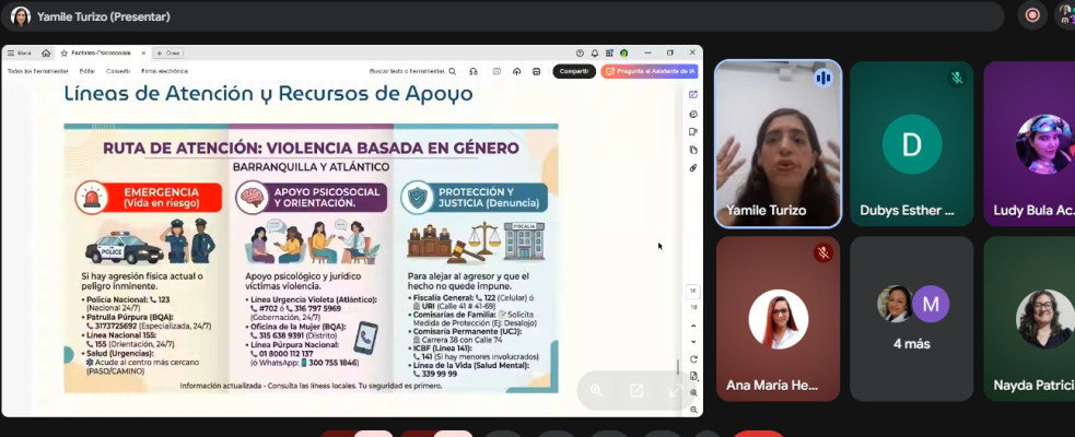 Imagen 2 tomada en la sesion del webinar