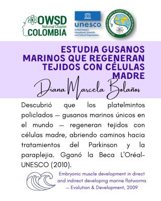 Descripcion de los aportes de Diana Marcela Bolaños