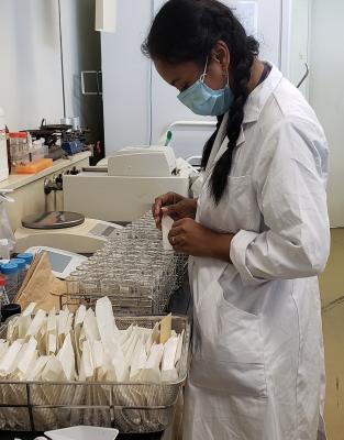 Early Career Fellow working in the lab