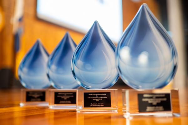 OWSD Awardees