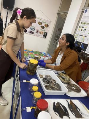 A girl learns all about snakes at an OWSD Bolivia outreach day