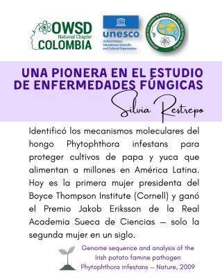 Descripcion de los aportes de Silvia Restrepo