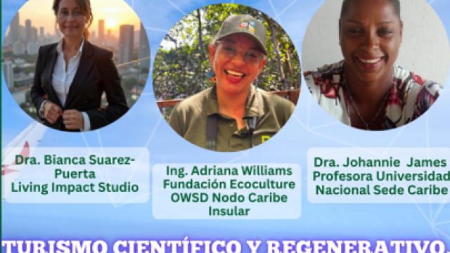 imagen 1 webinar
