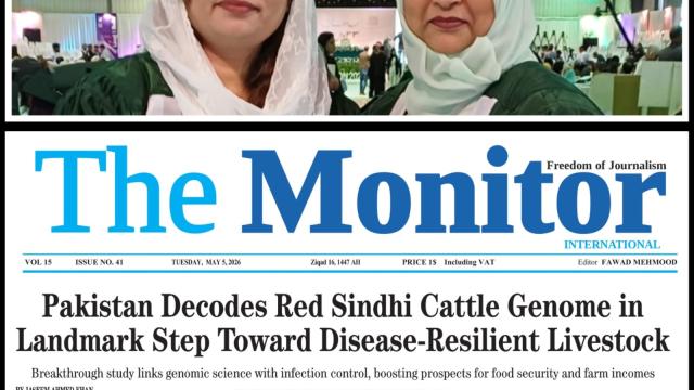 news of scientists decoding red sindhi cattle genome