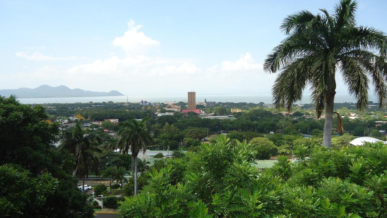 lead_image 1