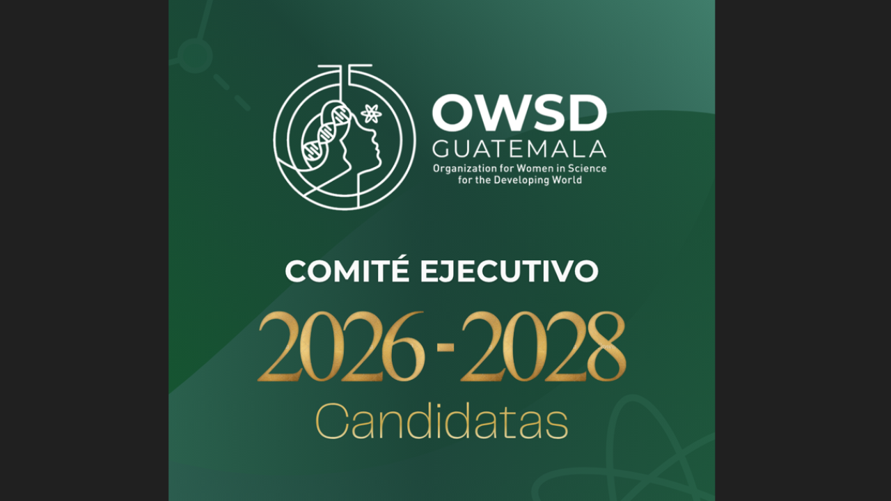 Candidatas 2026-2028
