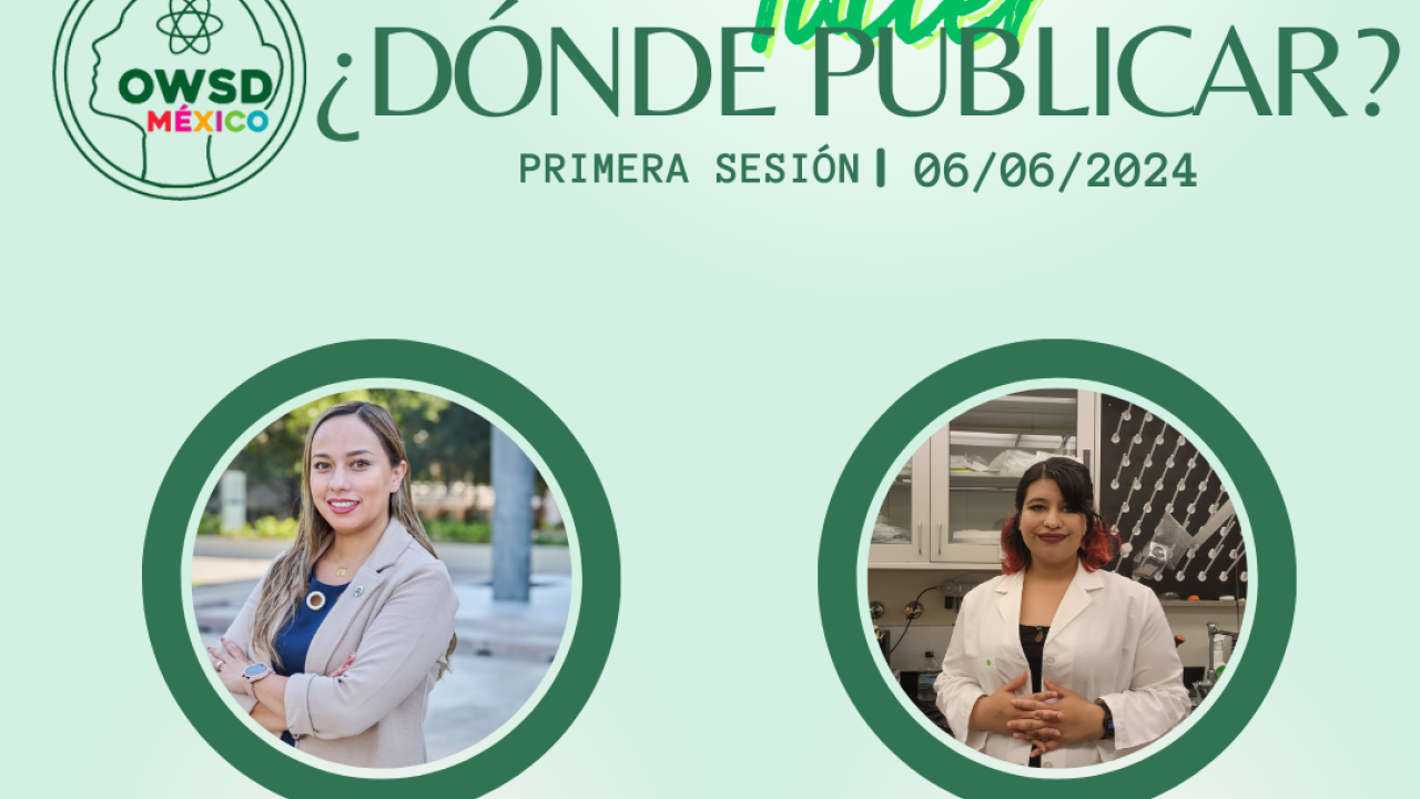 Primera Sesi n Taller D nde Publicar OWSD Primera Sesi n Taller D nde Publicar OWSD