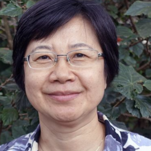 YANFEN WANG