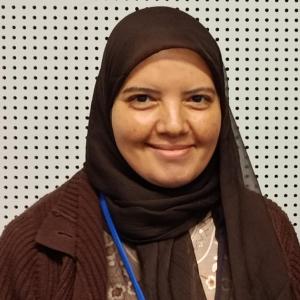 Prof. Rehab O. Abdel Rahman