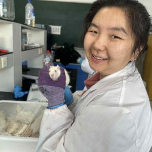 This picture shows the creation and measurement of a polycystic ovary syndrome (PCOS) model in a white SD rat. It was obtained during the final chapter of a thesis on animal modelling at the School of Traditional Chinese Medicine at Jilin Agricultural University.