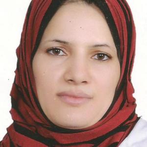 Abeer M Abdalhamed 