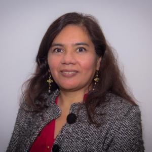 Dr. María Quintana Cáceda, Director of Physical Engineering Department, CYTED Manager