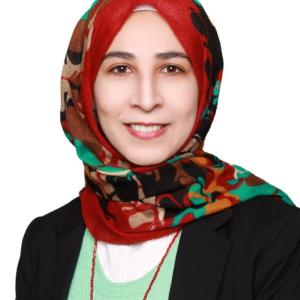 Elkhenany H.