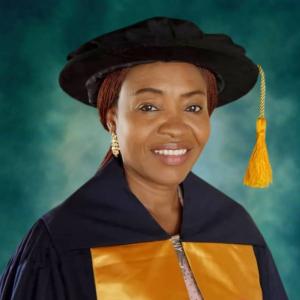 Professor M.O. Odumosu