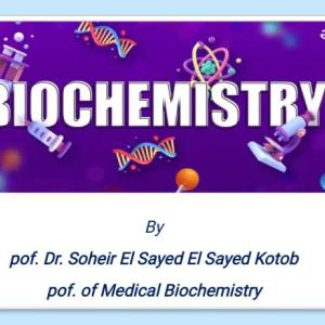 Prof.dr. Soheir Elsayed Elsayed Kotob 