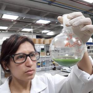 Chemical Biology laboratory