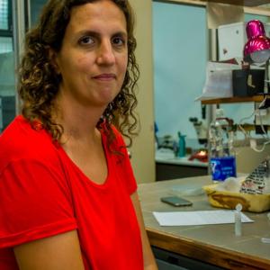En el laboratorio PRODEA en la Universidad Nacional de Luján trabajando