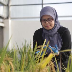 Bioinformatician in Agricultural Institution