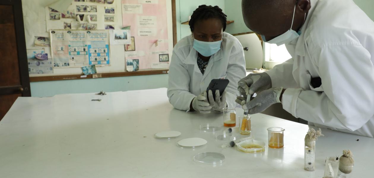Two scientists wearing masks in the laboratory